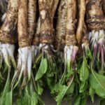 What’s Cara Cooking? A Passover Seder